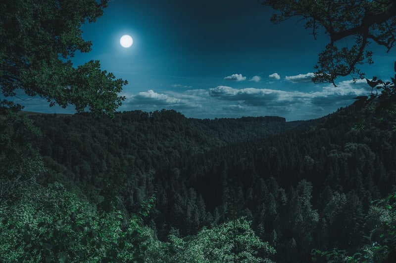 Journey to the Moon